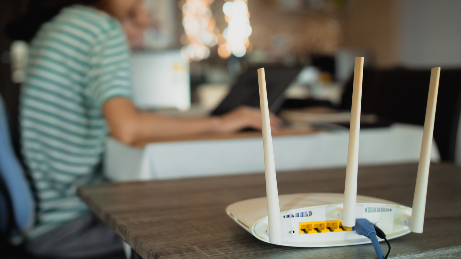 Router Portları: WAN ve LAN Arasındaki Kritik Fark Nedir?