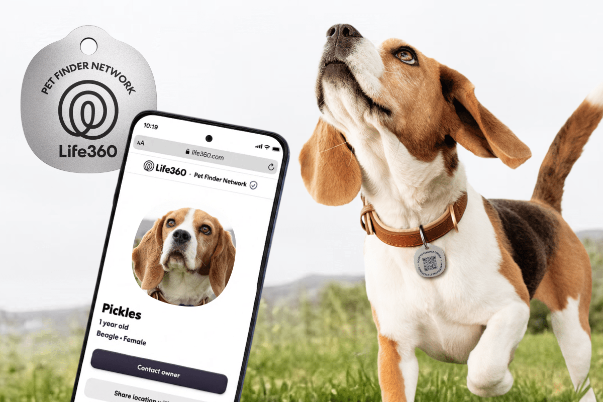 Life360'tan Patili Dostlarımız İçin Akıllı Çözüm: 8 Dolarlık Taranabilir Etiketler ve Zoomie Uyarıları
