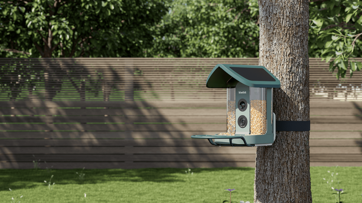 Doğayı Dijitalleştirin: Kiwibit Bird Feeder Pro 4K ile Bahçenizdeki Kanatlı Dostlarınızı Tanıyın