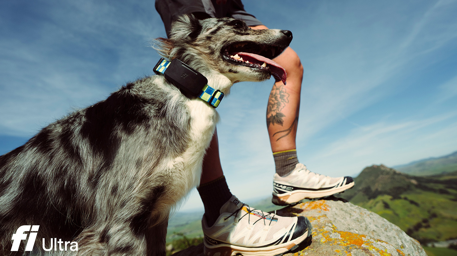 Fi Ultra: Starlink Destekli Uydu Teknolojisiyle Köpeğinizin Konumu Artık Her Yerde Güvende