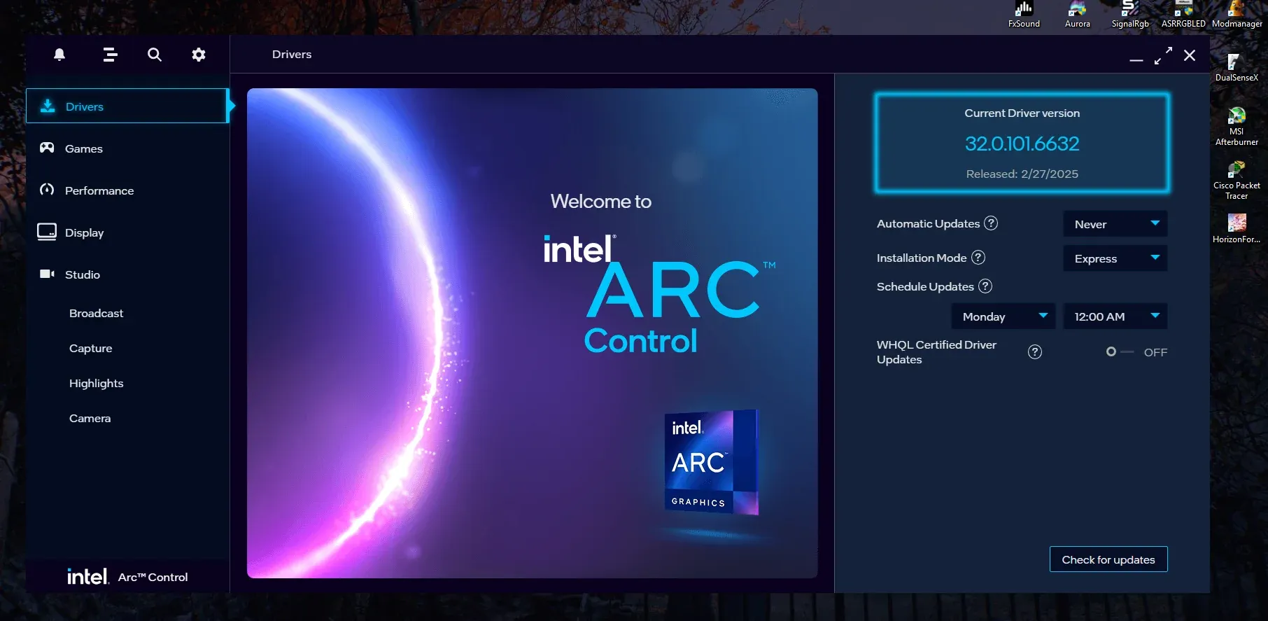 Intel Arc Grafik Sürücüsü Programı Ekran Görüntüsü